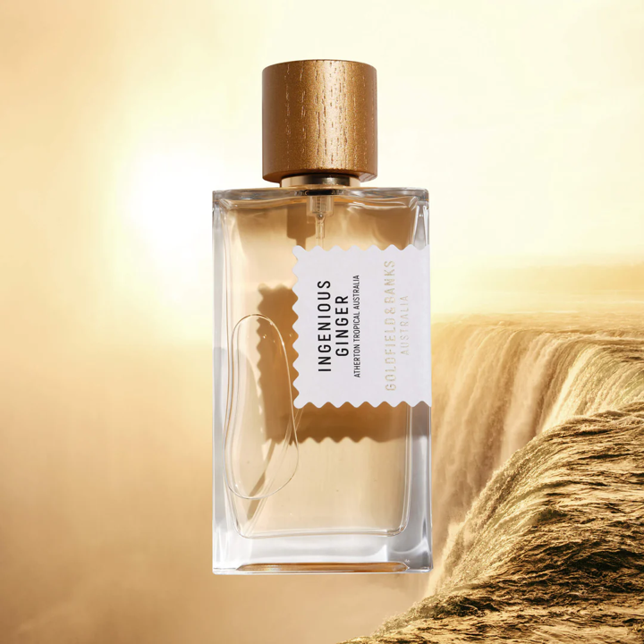 ingenious ginger 100ml