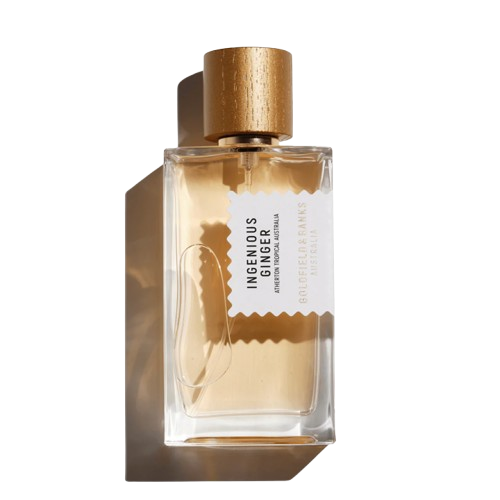 ingenious ginger 100ml